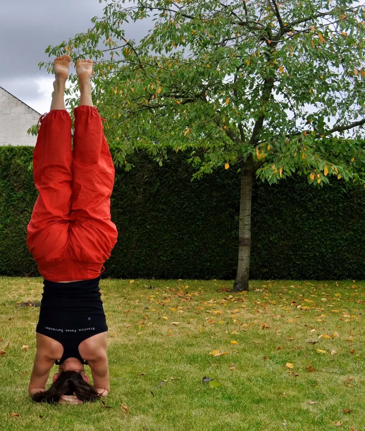 AyurYoga — yoga-studio à Dunois Madeleine, Orléans — 2