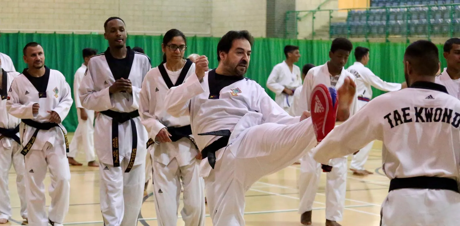 Hadri Taekwondo — martial arts-studio in London — 3