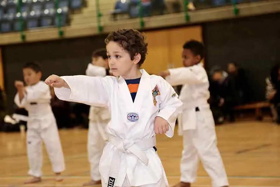 Hadri Taekwondo — martial arts-studio in London — 5