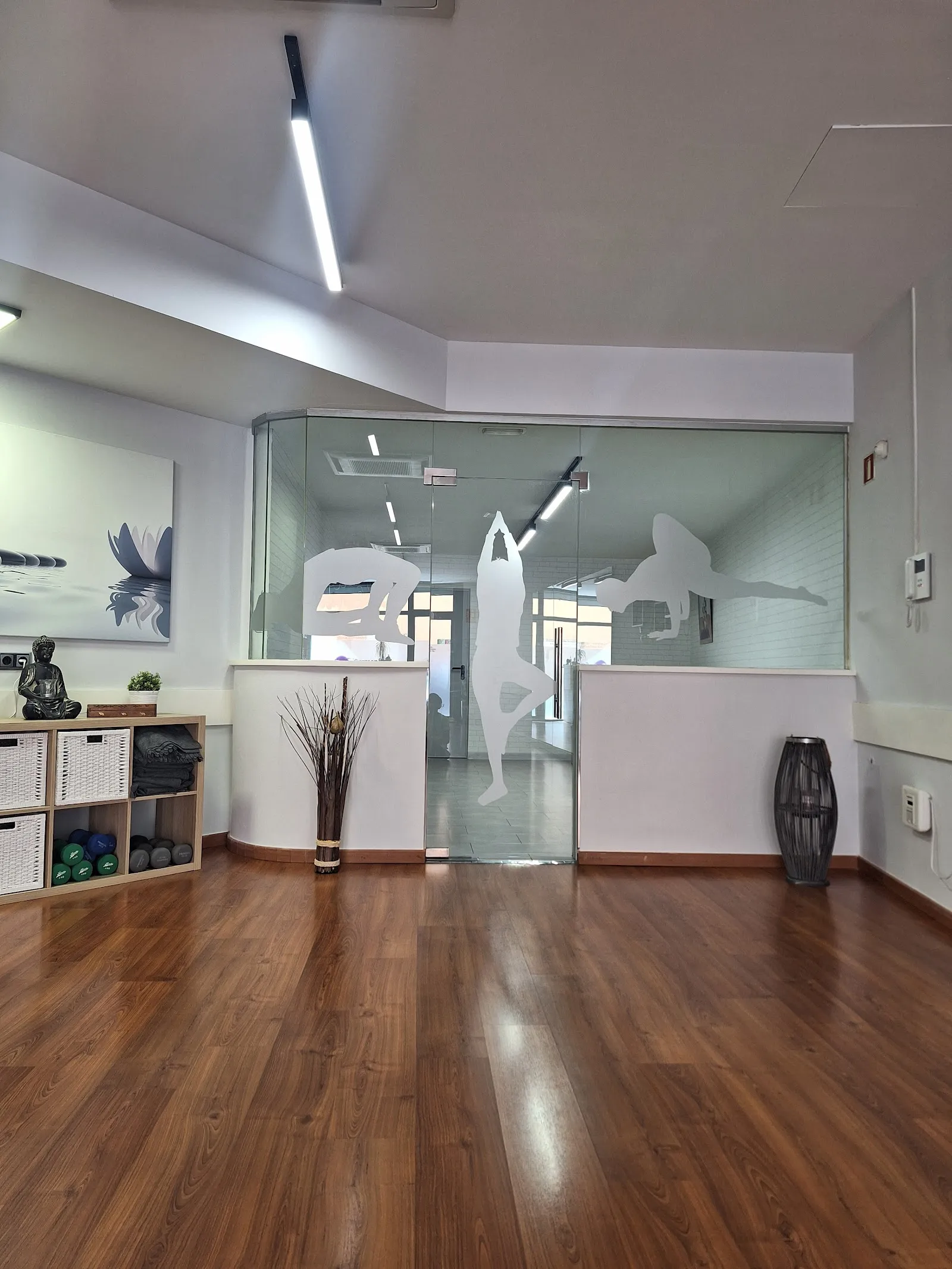 Carmenfit Terapèutic — entrenamiento personal-studio en Vilafranca del Penedès — 3