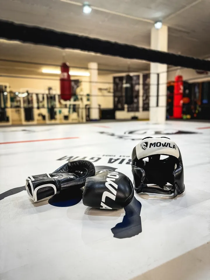 Puria Gym Trier — fitnessstudio in Nells-Ländchen, Trier — 3