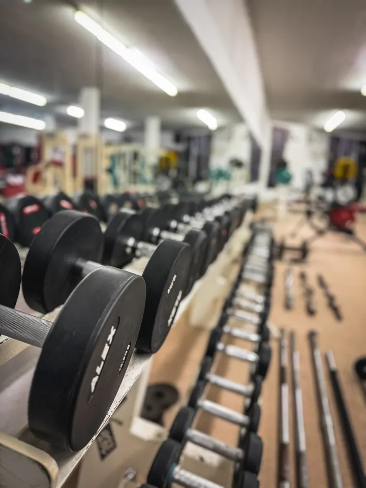 Puria Gym Trier — fitnessstudio in Trier — 3