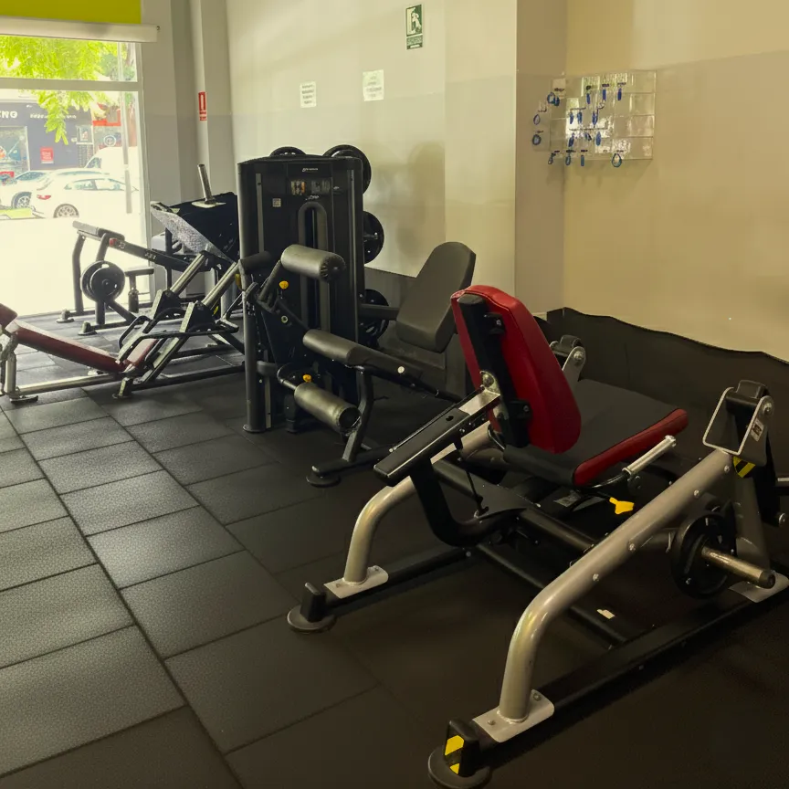 Gym Denia — estudio de fitness-studio en Dénia — 2