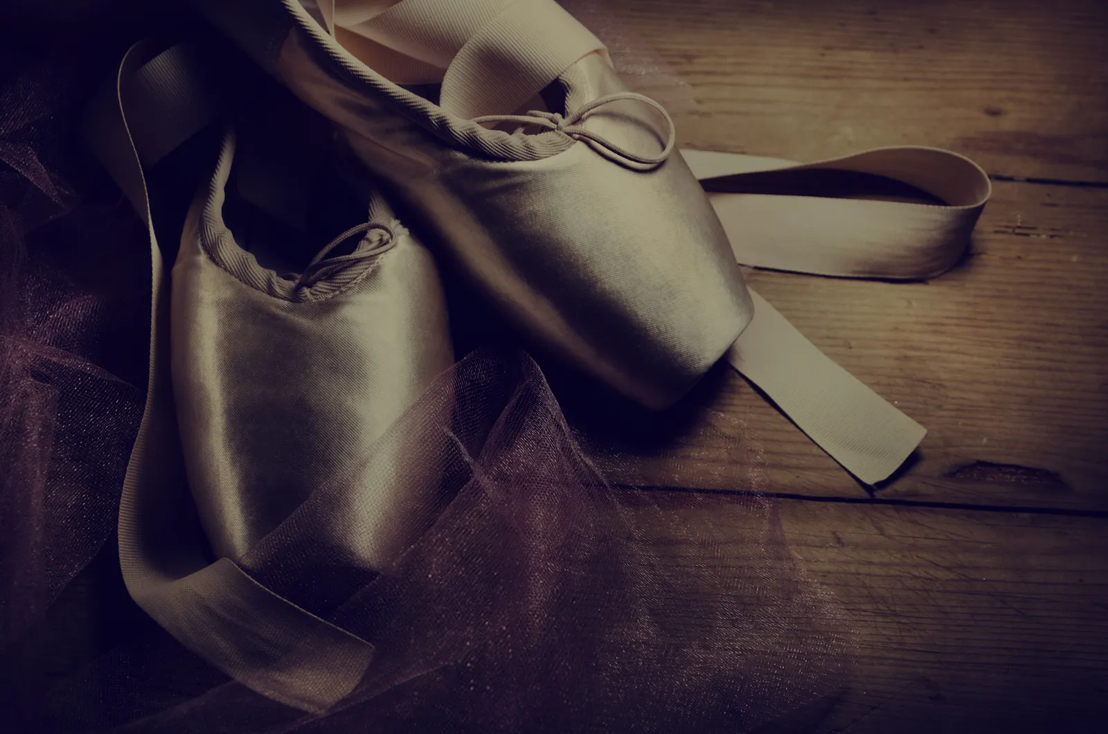 Ballettstudio Schreck Petra — tanz-studio in Höchberg — 2