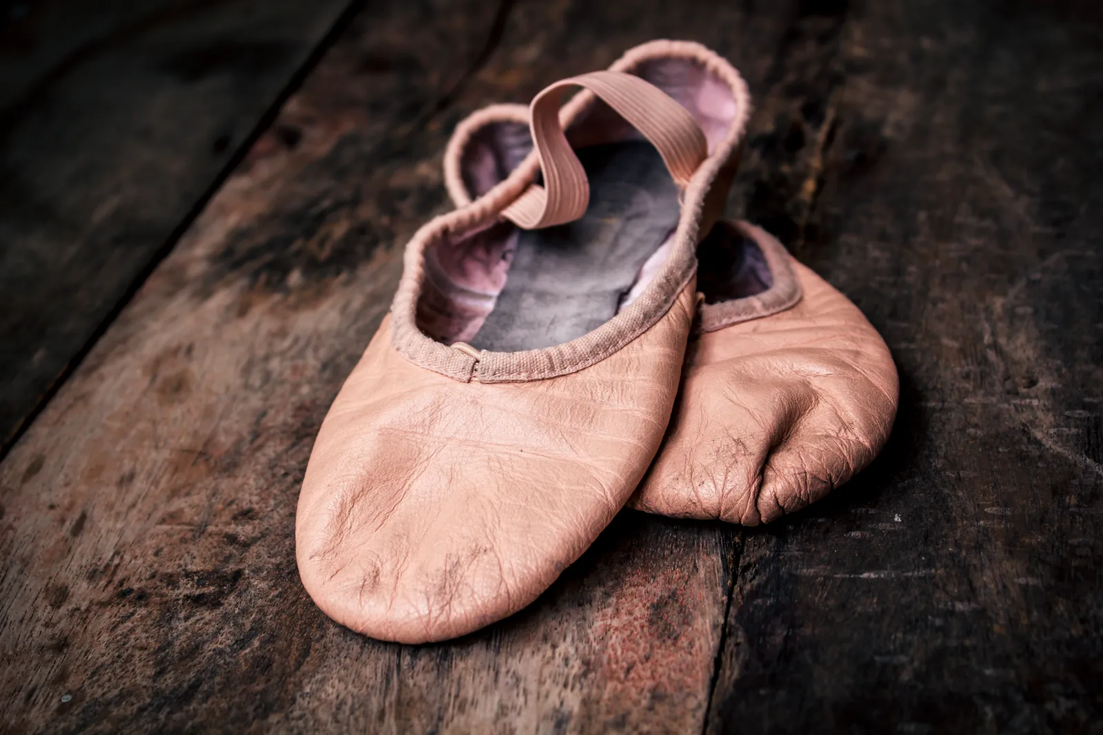 Ballettstudio Schreck Petra — tanz-studio in Höchberg — 3