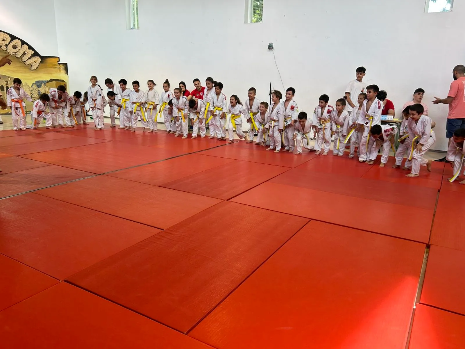 Judo Alcorcón Carlos Arroyo — artes marciales-studio en Alcorcón — 3
