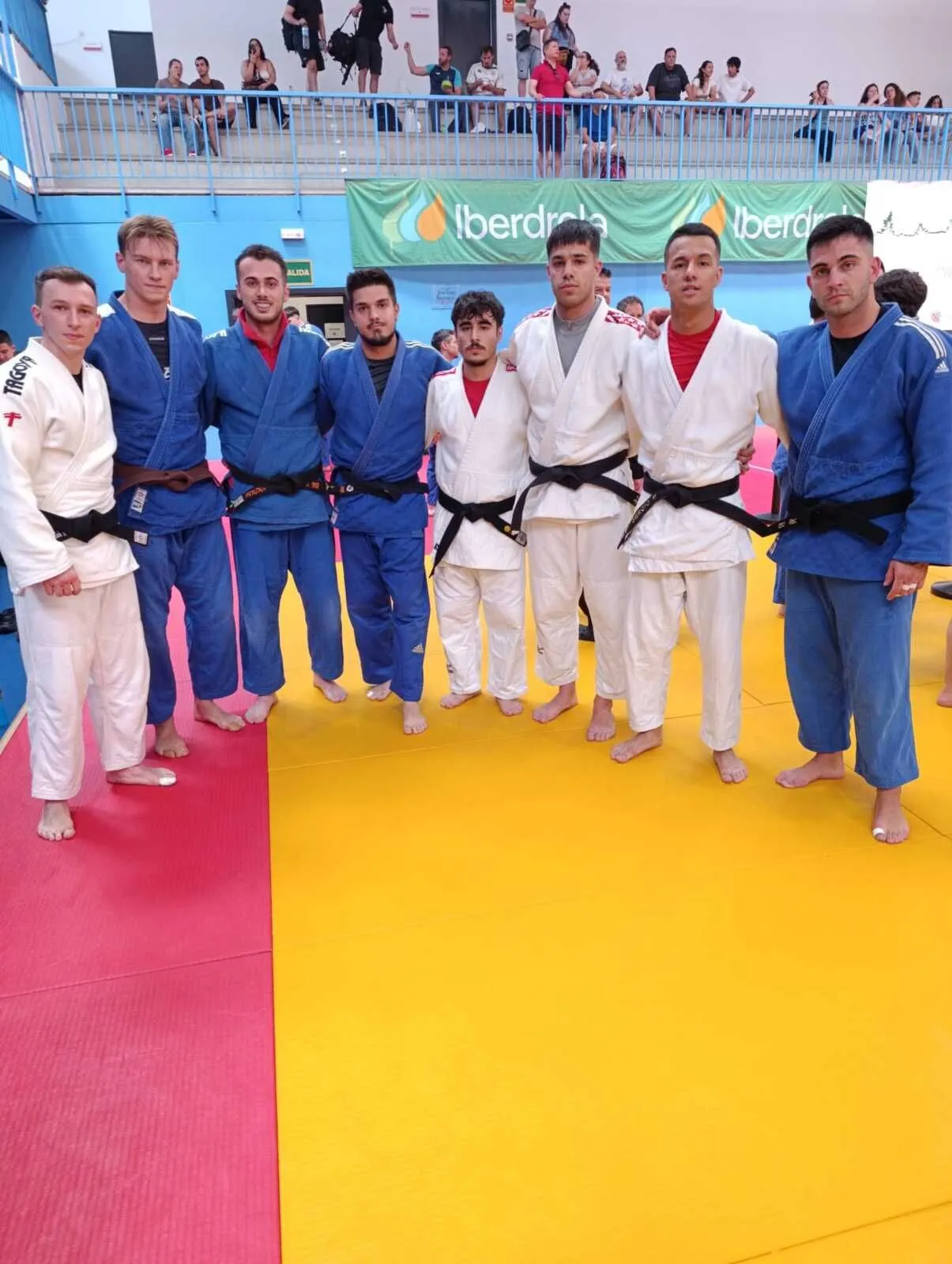 Judo Alcorcón Carlos Arroyo — artes marciales-studio en Alcorcón — 4
