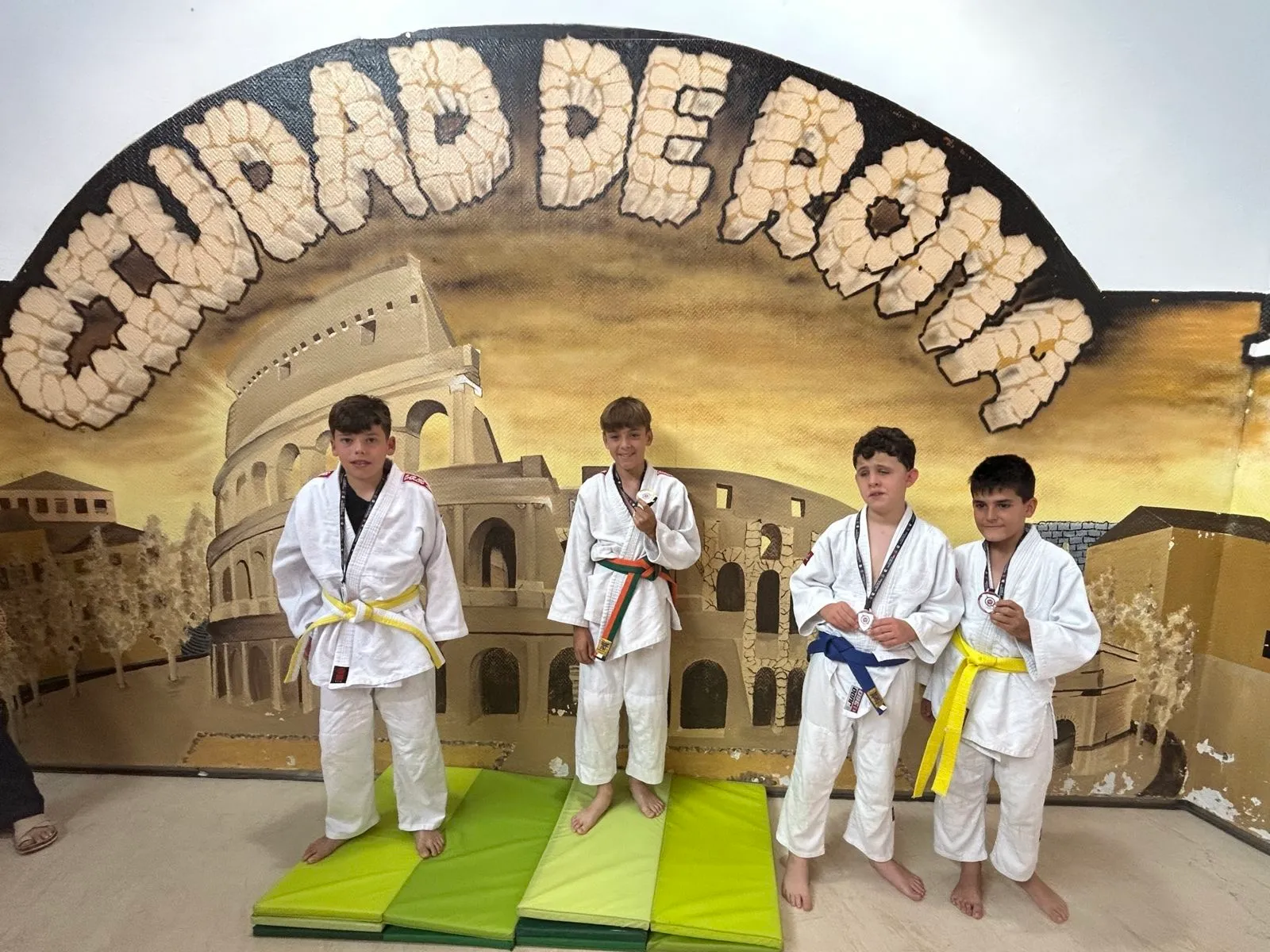 Judo Alcorcón Carlos Arroyo — artes marciales-studio en Alcorcón — 6