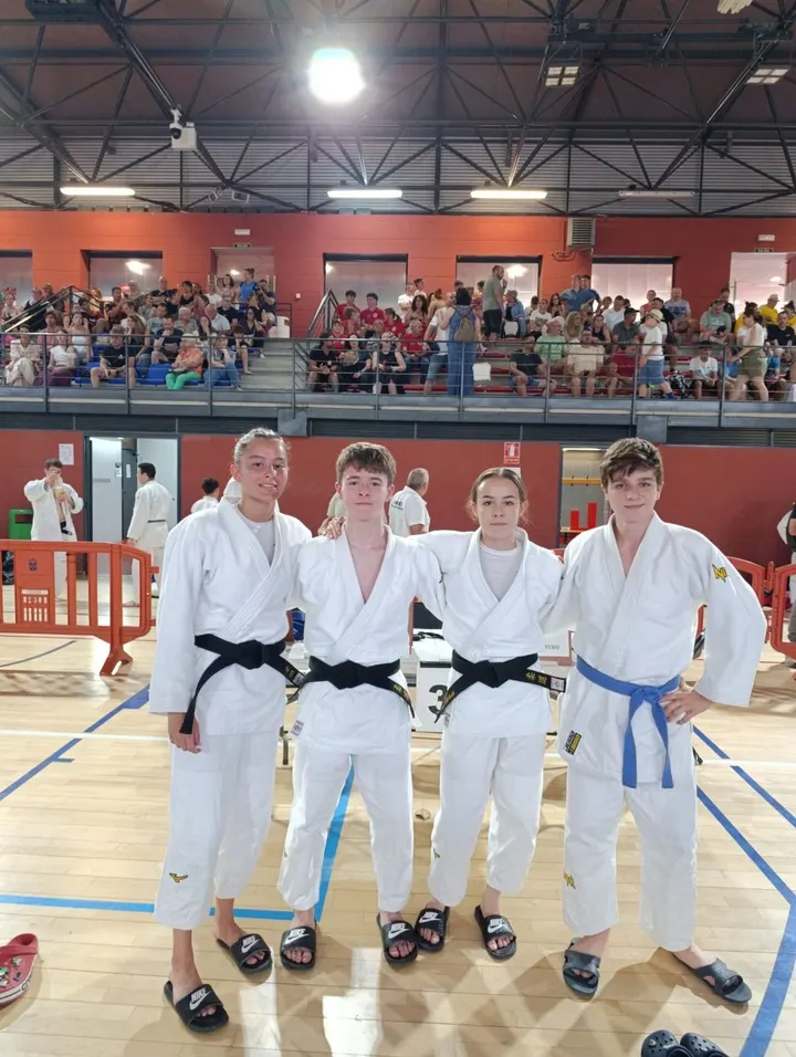 Judo Alcorcón Carlos Arroyo — Martial Arts en Suroeste, Alcorcón