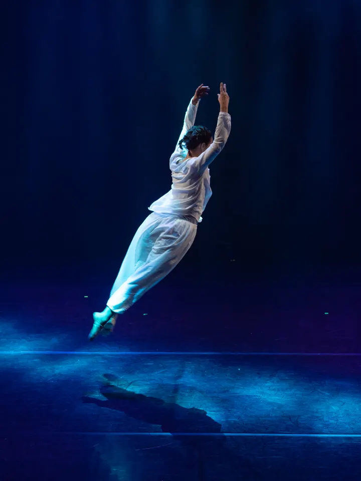 Ecole de Danse Ciappara — danse-studio à Écully, Lyon — 2
