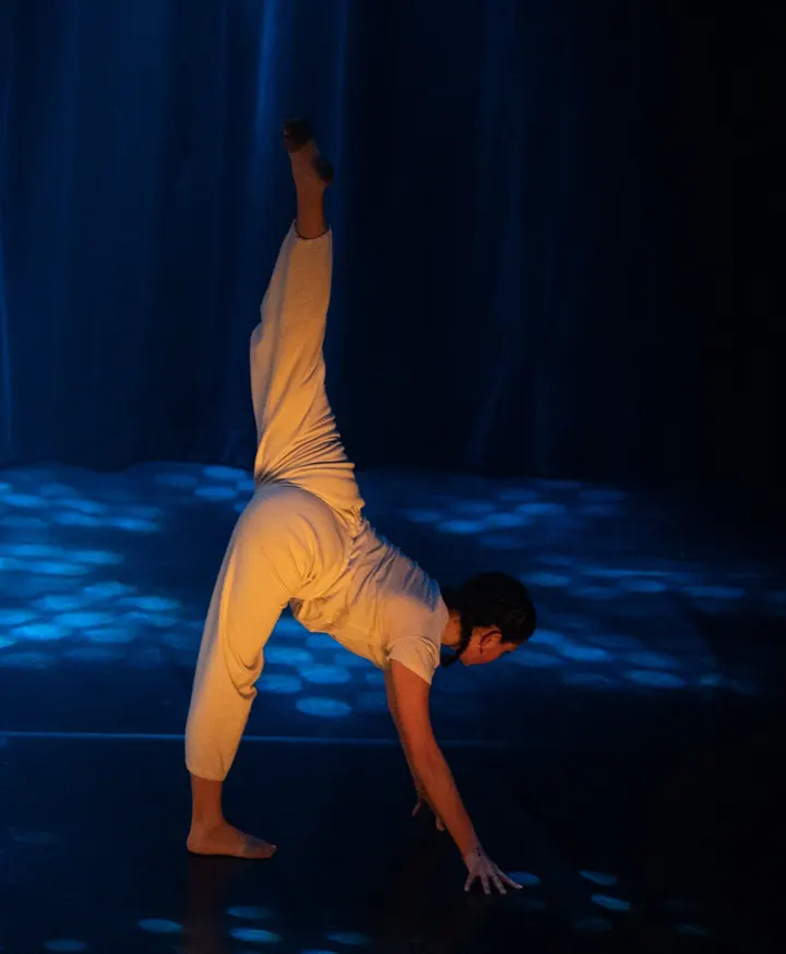 Ecole de Danse Ciappara — danse-studio à Écully, Lyon — 3