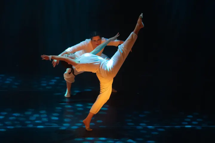 Ecole de Danse Ciappara — danse-studio à Lyon — 3