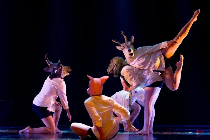 Ecole de Danse Ciappara — danse-studio à Lyon — 4
