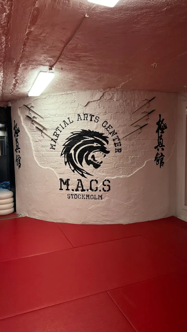 Kyokushin-Kan Sweden — martial arts-studio i Vasastan, Stockholm