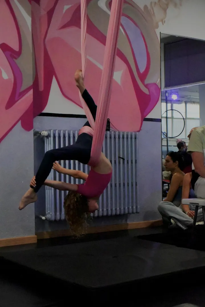 Big Up pole dance studio — danza-studio a Malpensata, Bergamo — 3