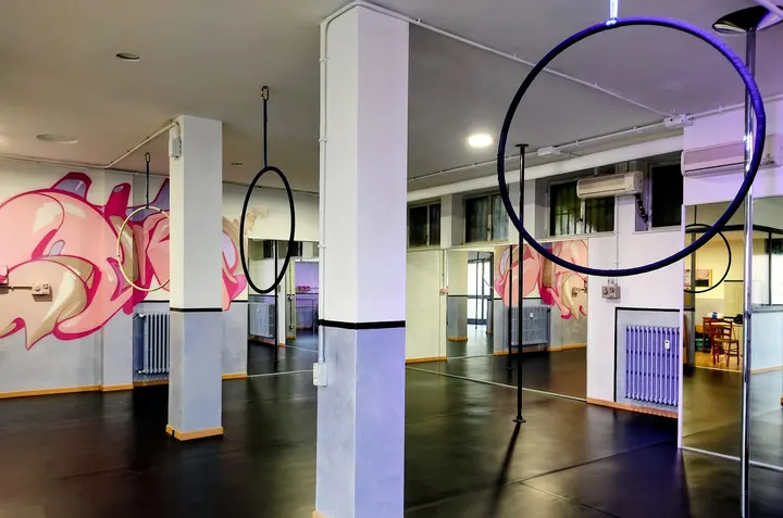 Big Up pole dance studio — Danza a Malpensata, Bergamo