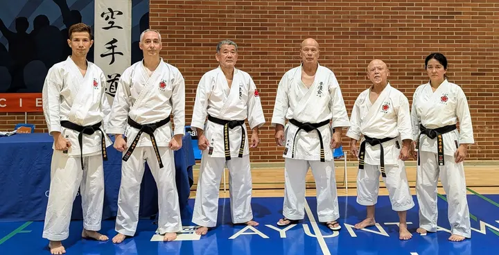 Uechi-Ryu Karate-do Kenyukai France — arts martiaux-studio à Paris 17e Arrondissement, Paris — 2
